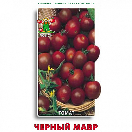 Томат Черный мавр фото Томат Черный мавр 