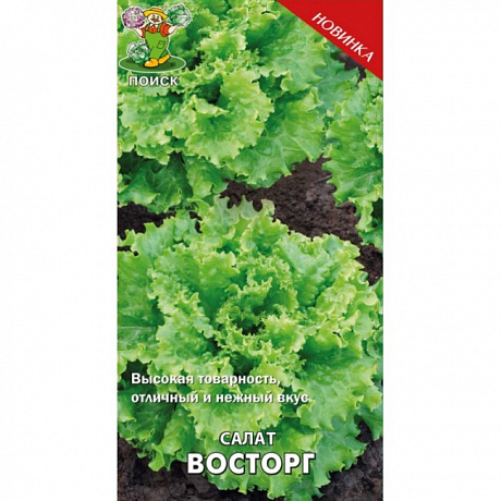 Салат Восторг фото Салат Восторг 
