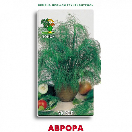 Укроп Аврора фото Укроп Аврора 