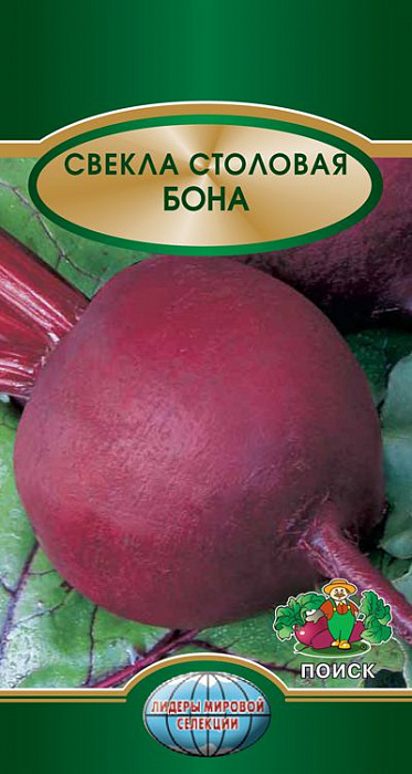Свёкла столовая Бона фото Свёкла столовая Бона 