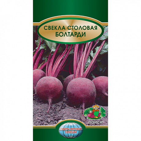 Свёкла столовая Болтарди фото Свёкла столовая Болтарди 