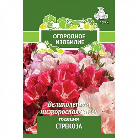 Годеция Стрекоза фото Годеция Стрекоза 