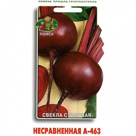 Свёкла столовая Несравненная А-463 фото Свёкла столовая Несравненная А-463 